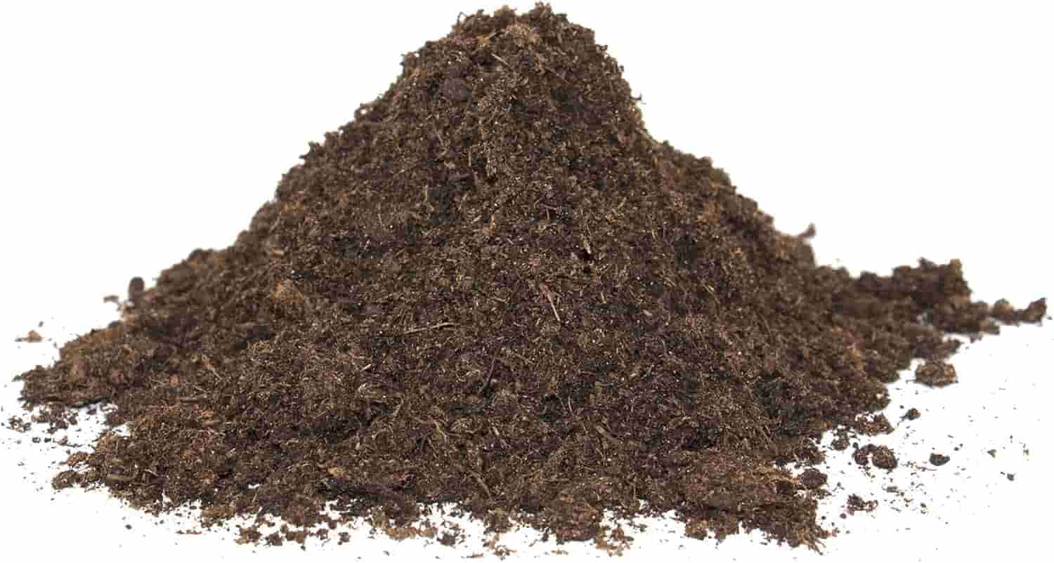 81zaTLlwxcL._AC_SL1500_ (1)