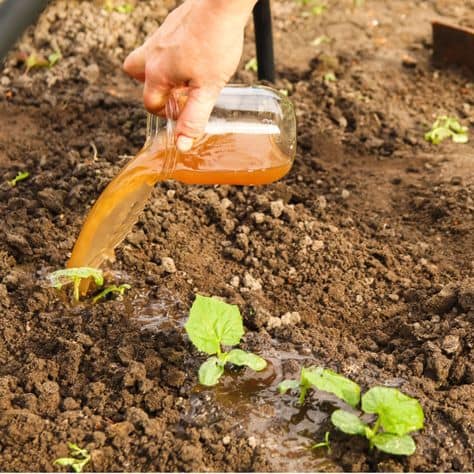 f61bac94f24472cdf469c56323d5932b (1)