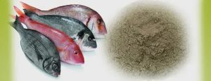 کود ماهی برای تقویت گیاهان در خاک سبک