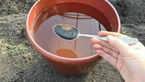 کود مایع هیومیک اسید برای حاصلخیزی