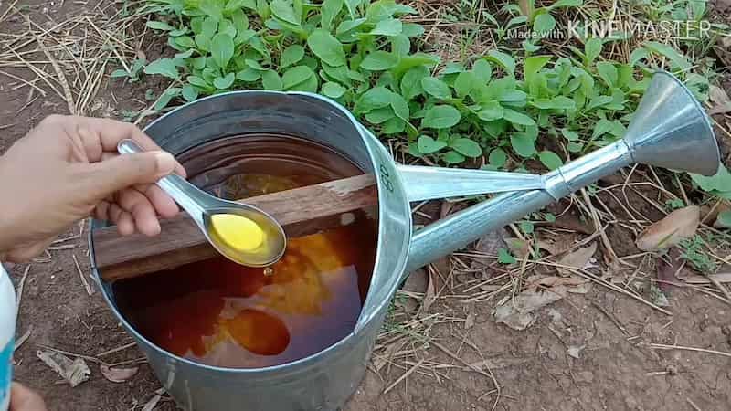 maxresdefault (28) (1)